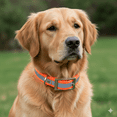 thumbnail image 5 of Sunglo Poly Reflective Dog Collar 1" x 21" Waterproof Glow Strip Night Safety USA, 5 of 5