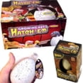 thumbnail image 6 of 3 HATCHING Grow Your Own Pet Dinosaur Crocodile Turtle Egg T-DCT-2, 6 of 9