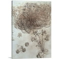 thumbnail image 1 of ARTCANVAS Star of Bethlehem 1505 Canvas Art Print by Leonardo da Vinci - Size: 12" x 8" (0.75" Deep), 1 of 9