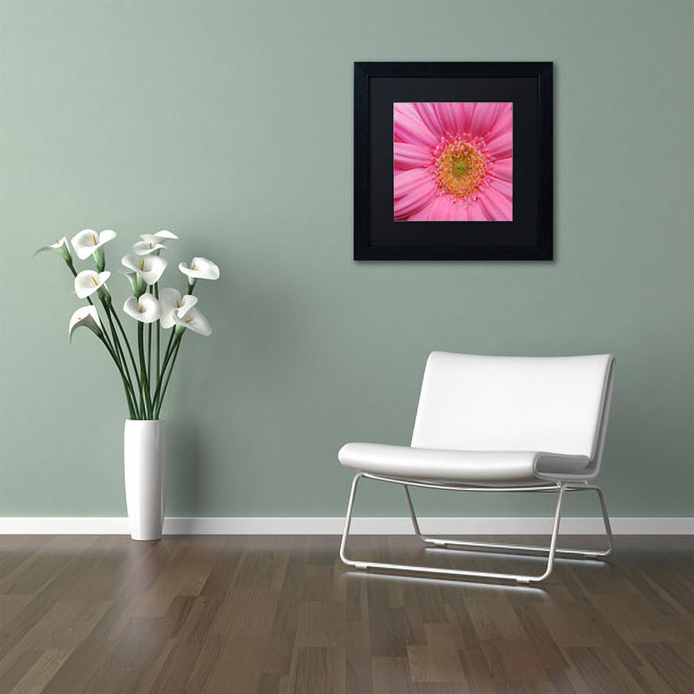 Trademark Fine Art "Pink" Canvas Art by Kurt Shaffer Black Matte, Black Frame