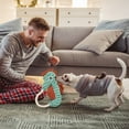 thumbnail image 4 of Indestructible Dog Chew Toy for Aggressive Chewers Interactive Squeaky Teething for Small and Medium Breed Puppies, 4 of 4