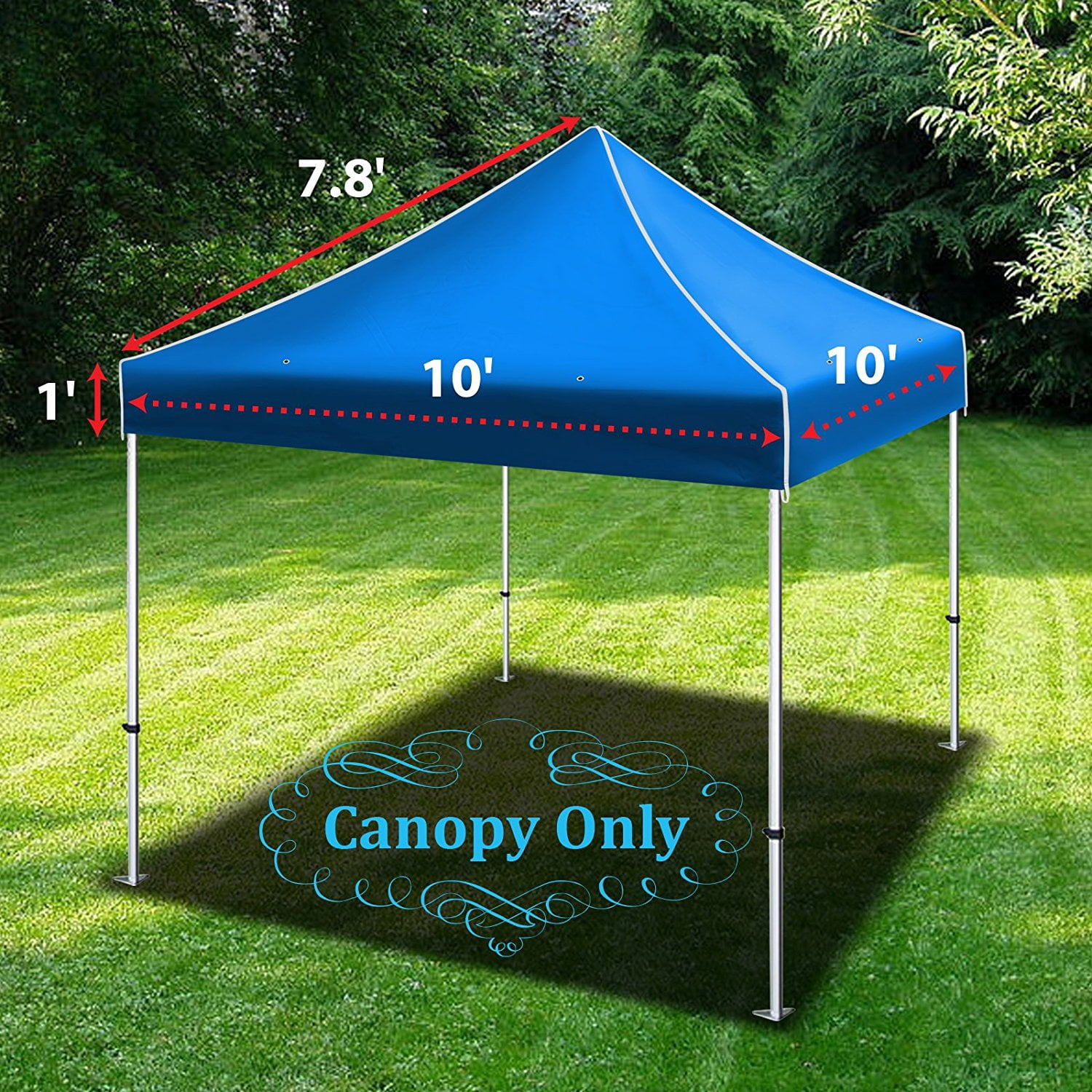 Sunny 10ft X 10ft Blue Pop Up instant Outdoor Canopy