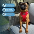 thumbnail image 2 of Arnés para perros Best Pet Supplies Voyager Step-In Air Red XXS, 2 of 7