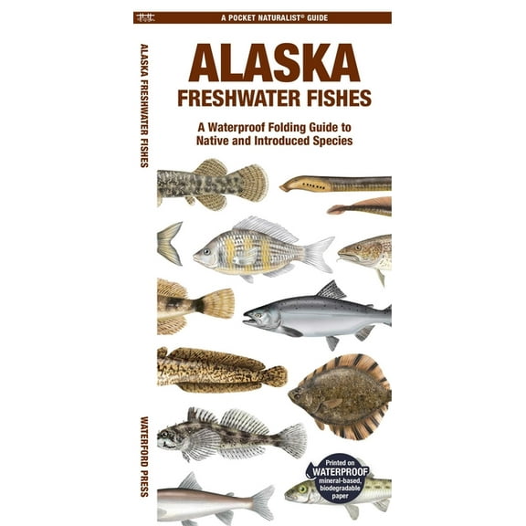 Nature Observation North America Alaska Freshwater Fishes, (Paperback)