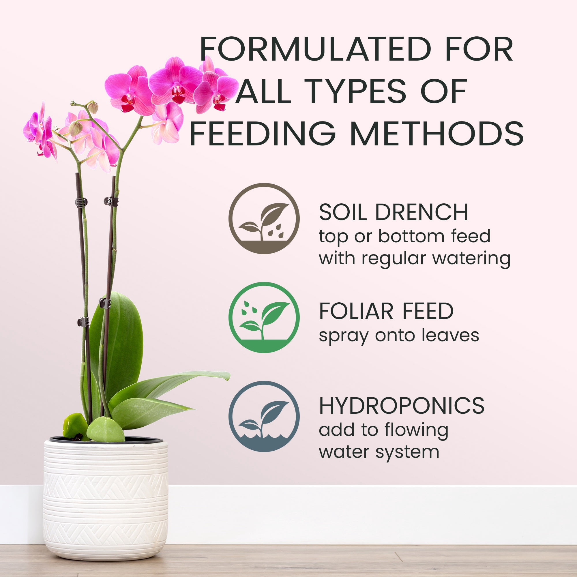 Purived 16oz Orchid Liquid Fertilizer - Makes 50 Gallons, Boosts Blooms & Root Strength, Ideal for Phalaenopsis, Dendrobium & More, Supports Vibrant, Long-Lasting Flowers, Made in USA
