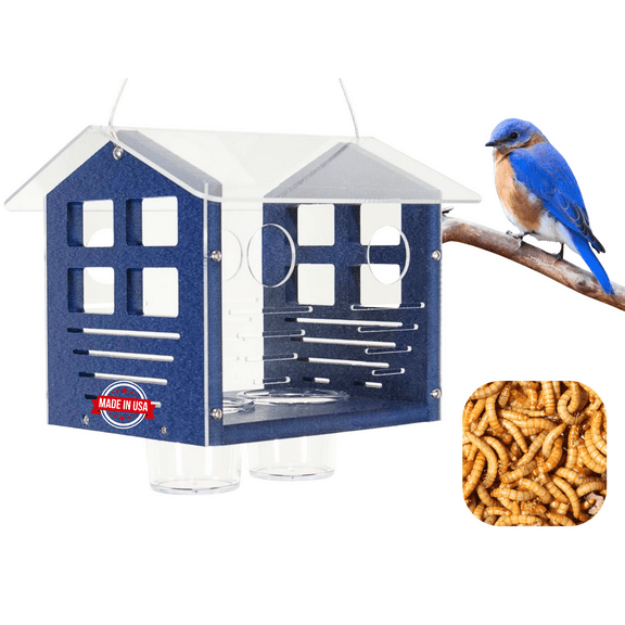 JCS Wildlife Enclosed Bluebird Feeder 2.0