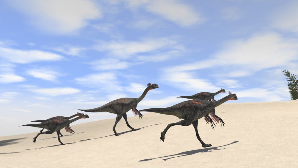 Herd of Gigantoraptors running across desert terrain Canvas Art - Kostyantyn IvanyshenStocktrek Images (38 x 22)