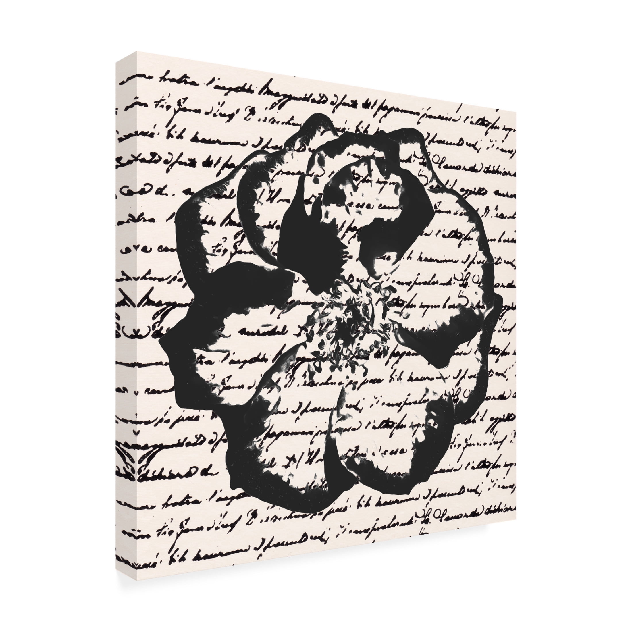 Trademark Fine Art Alonzo Saunders  Inky Floral III Canvas Wall Art