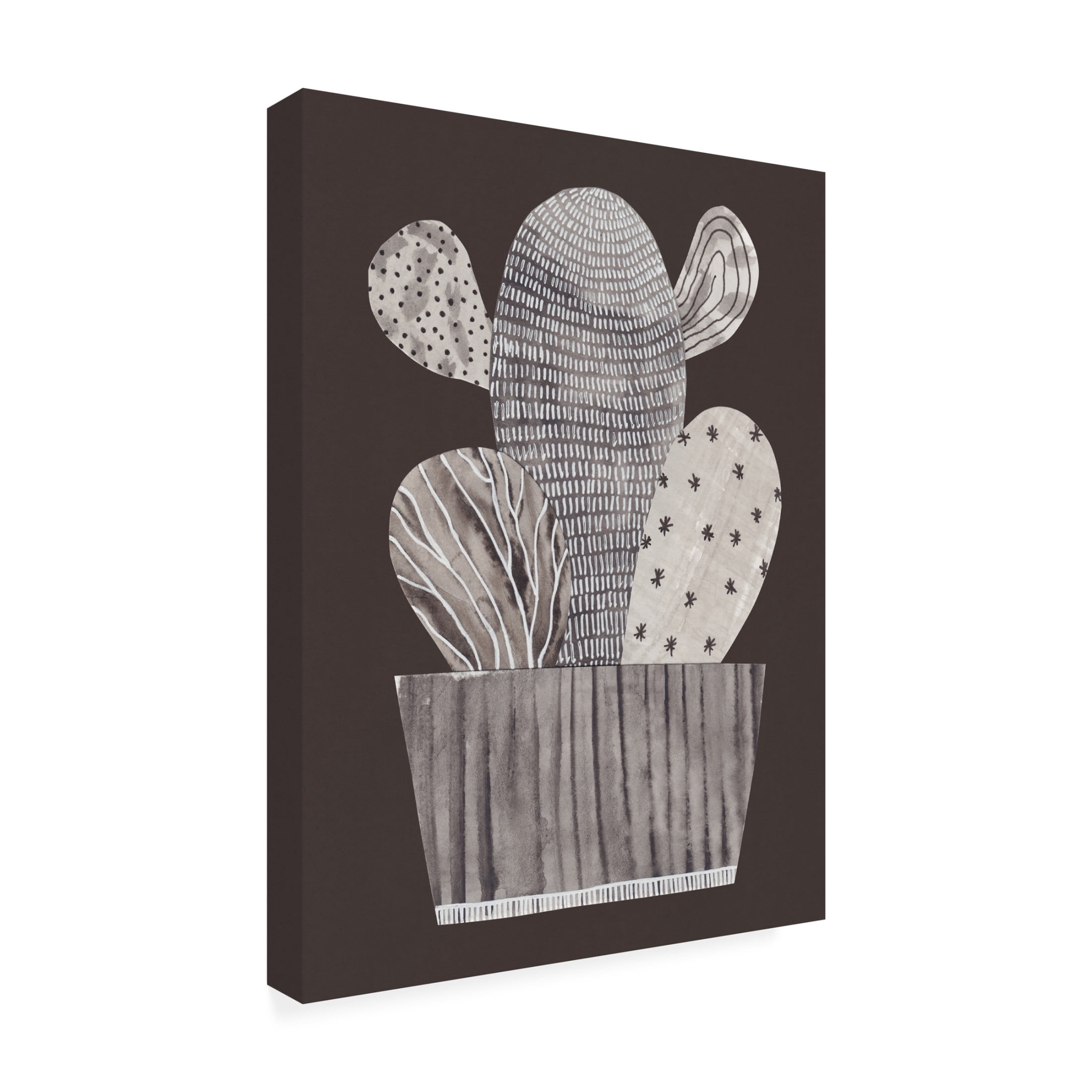 Trademark Fine Art Alisa Galitsyna Little cactus Canvas Wall Art