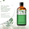 thumbnail image 3 of PHATOIL Tea Tree Essential Oil for Skin Hair Diffuser Massage, Pure Undiluted for Skin Nourish, 3.38 fl Oz, 3 of 9