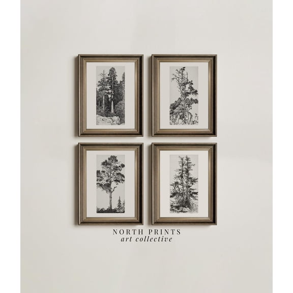UNFFRAMED Vintage Tree Sketch Poster Set: Neutral Gallery Wall Art S4-5 Set 4 Prints 8x12
