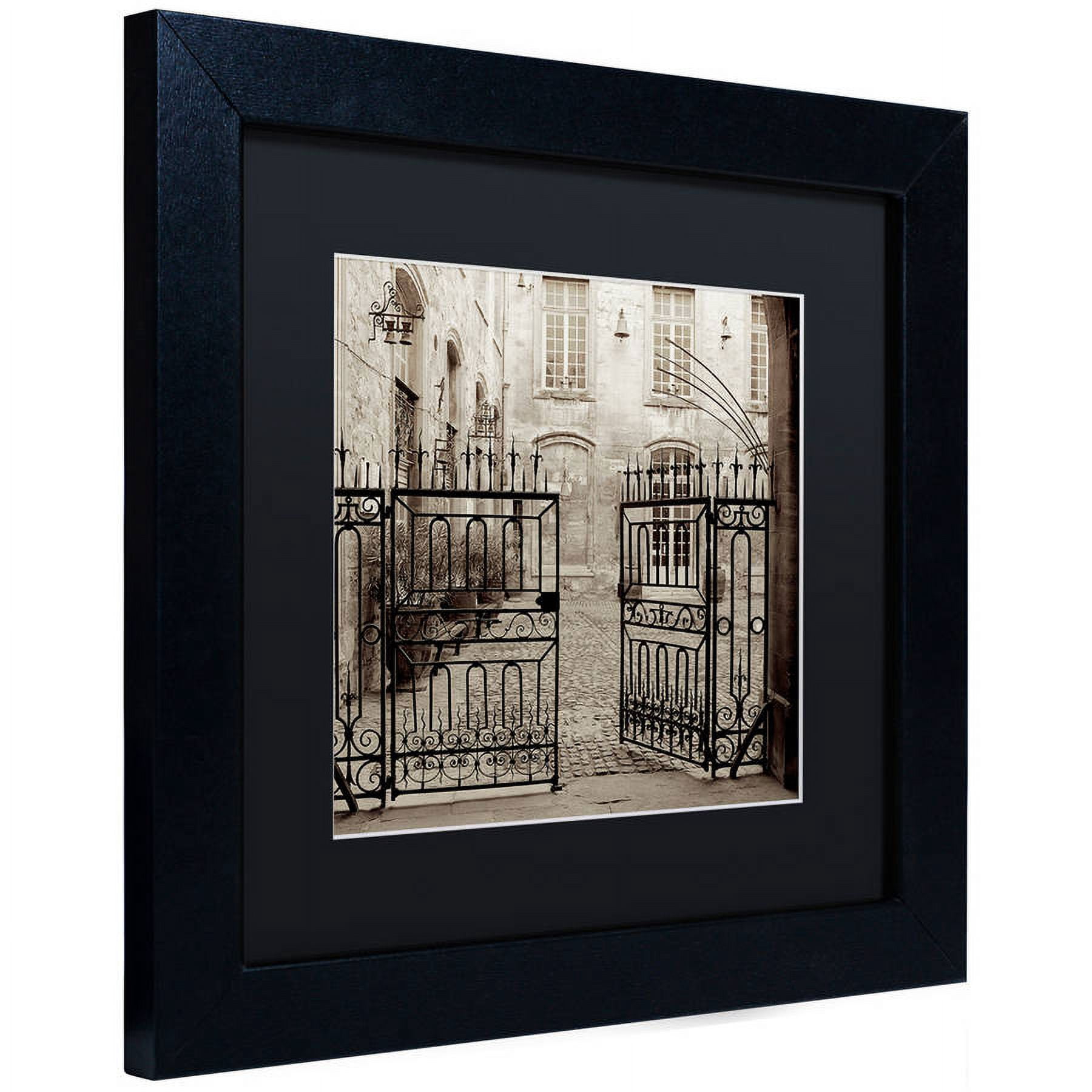 Trademark Fine Art "Avignon II" Canvas Art by Alan Blaustein, Black Matte, Black Frame