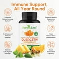 thumbnail image 3 of Forest Leaf Quercetin with Bromelain Sinus Relief & Immune Support Supplement, 90 Capsules, 3 of 8