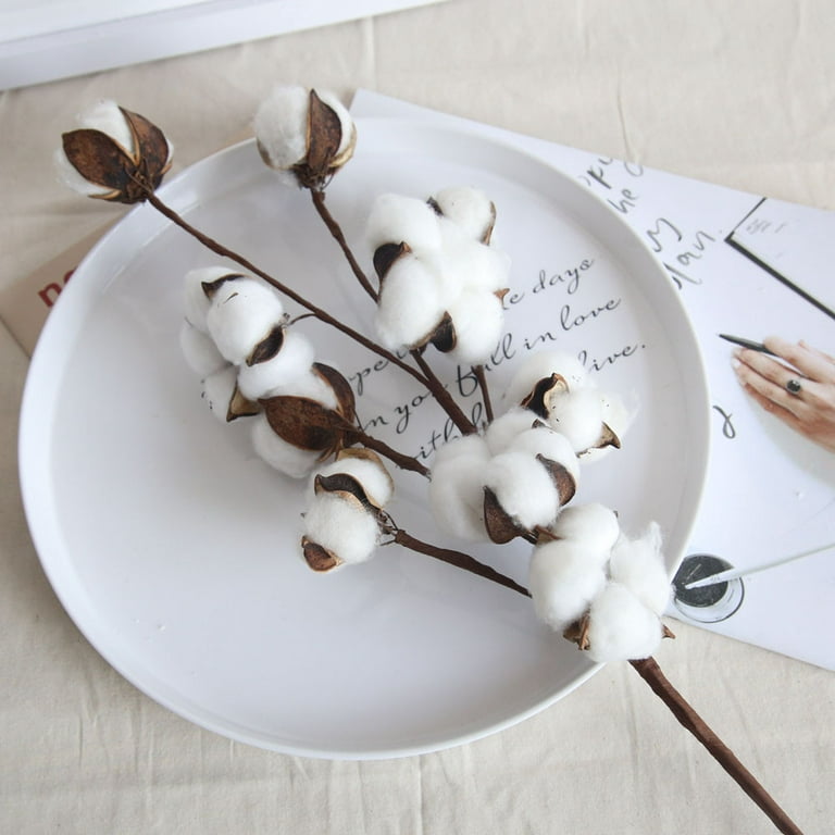  Cotton Branches For Vases