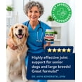 thumbnail image 5 of StrellaLab Glucosamine Chews for Dogs - Hip & Joint Support with Chondroitin, MSM & Omega-3 Fish Oil - Joint Pain Relief - Bacon (180 ct), 5 of 10