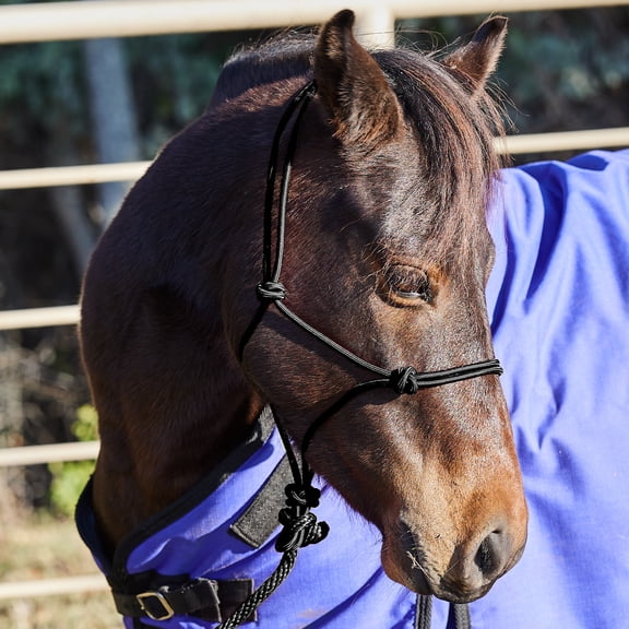 Tough-1 Miniature Poly Rope Halter withLea