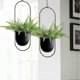 thumbnail image 2 of 2 Pack Hanging Planters for Indoor & Outdoor Plant with 6 inch Pot Hanging Plant Holder, Plant Hang, 2 of 5