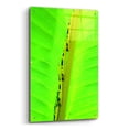 thumbnail image 2 of Epic Art 'Following The Leader' by Dana Brett Munach, Acrylic Glass Wall Art, 24"x36", 2 of 8