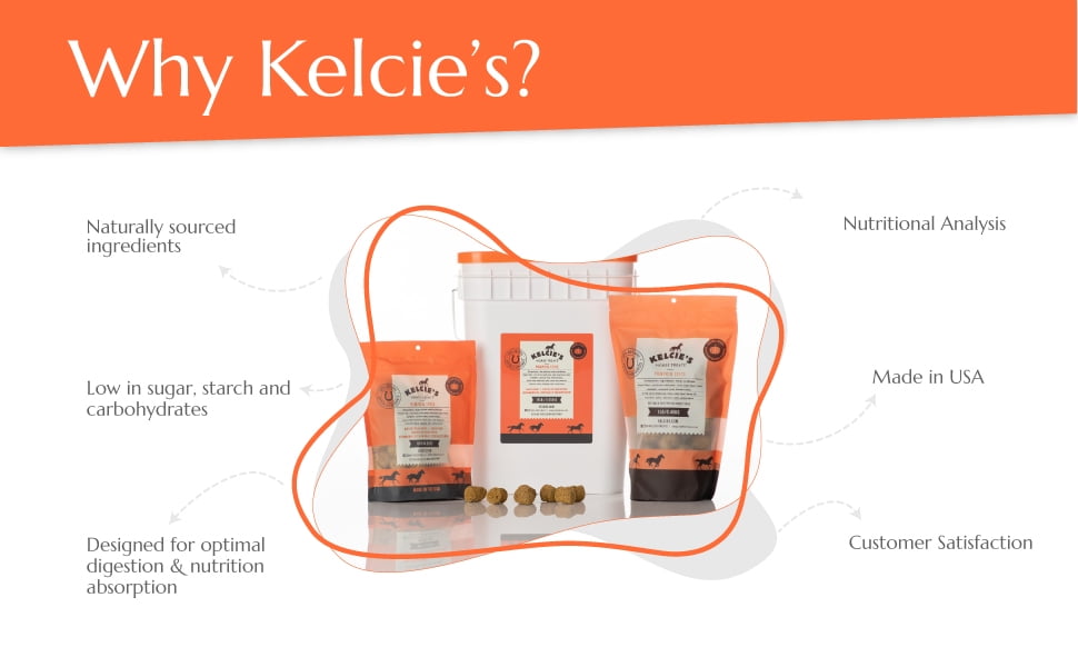 Kelcies Pumpkin Spice Horse Treats - Bake at Home Horse Food Treats - Unique Pumpkin Spice flavor low in sugar, starch and carbohydrates - 2 lb Bundle (2 x 1 lb bags)