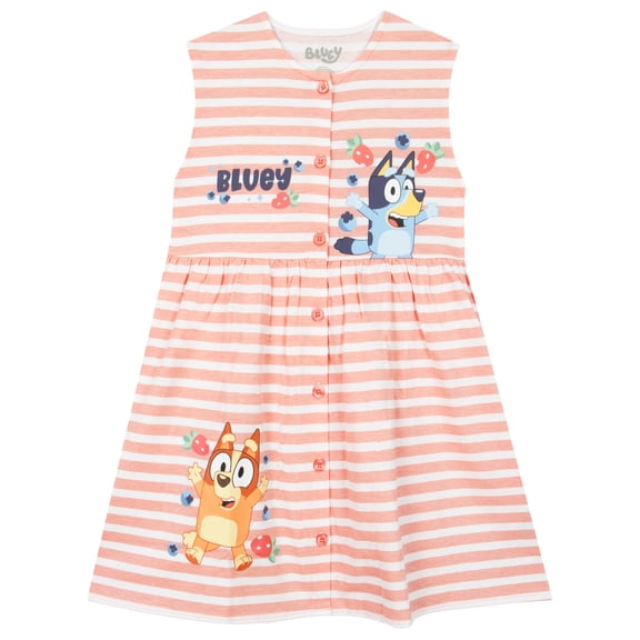 Bluey Girls Dress With Bingo, Sleeveless Girls Summer Dress 2T -8 Years