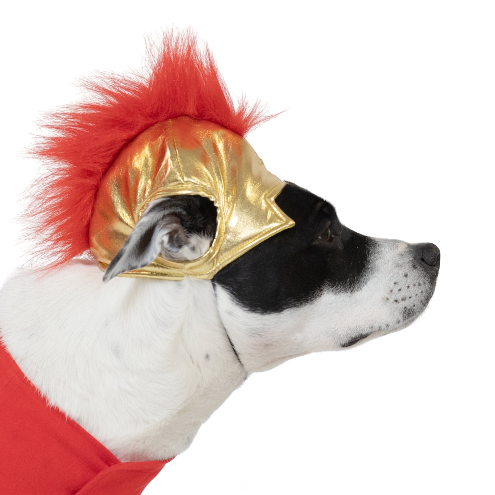 Vibrant Life Halloween Gladiator Costume for Dogs, Multicolor, Medium