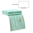 thumbnail image 5 of PEONAVET Washable Printed Summer Quilt Thin Comforter Conditioned Blanket Guest Room Bedding（19.68*39.37）, 5 of 5