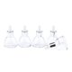 thumbnail image 4 of Frascos De Con Gotero Vacíos Para Aceites Esenciales - 5 Piezas, 35 Ml, Rellenables, Con Tapas - Mezclas De Bricolaje Suministro Gorras de plata Yuyangstore Frascos cuentagotas de aceites esenciales, 4 of 8