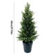 thumbnail image 1 of Simulated Tree Potted Indoor Home Hotel Decoration Floor To Floor Green Decoration Simulated Pines And Cypresss Tree, 1 of 7