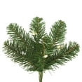 thumbnail image 2 of Vickerman 7.5' Oregon Fir Artificial Christmas Tree, Wide Angle Single Mold Warm White LED Lights, 2 of 5