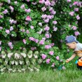 thumbnail image 3 of OULII 1Pcs Privacy Screen for Patio with Adjustable Design 180x9.8in, 3 of 8