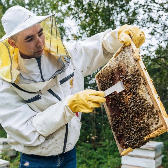 OULII Apiculture Lot de 1 Outil de Ruche Rouge en Acier Inoxydable Équipement Plat d'Apiculture 11.4x1.8x0.1in