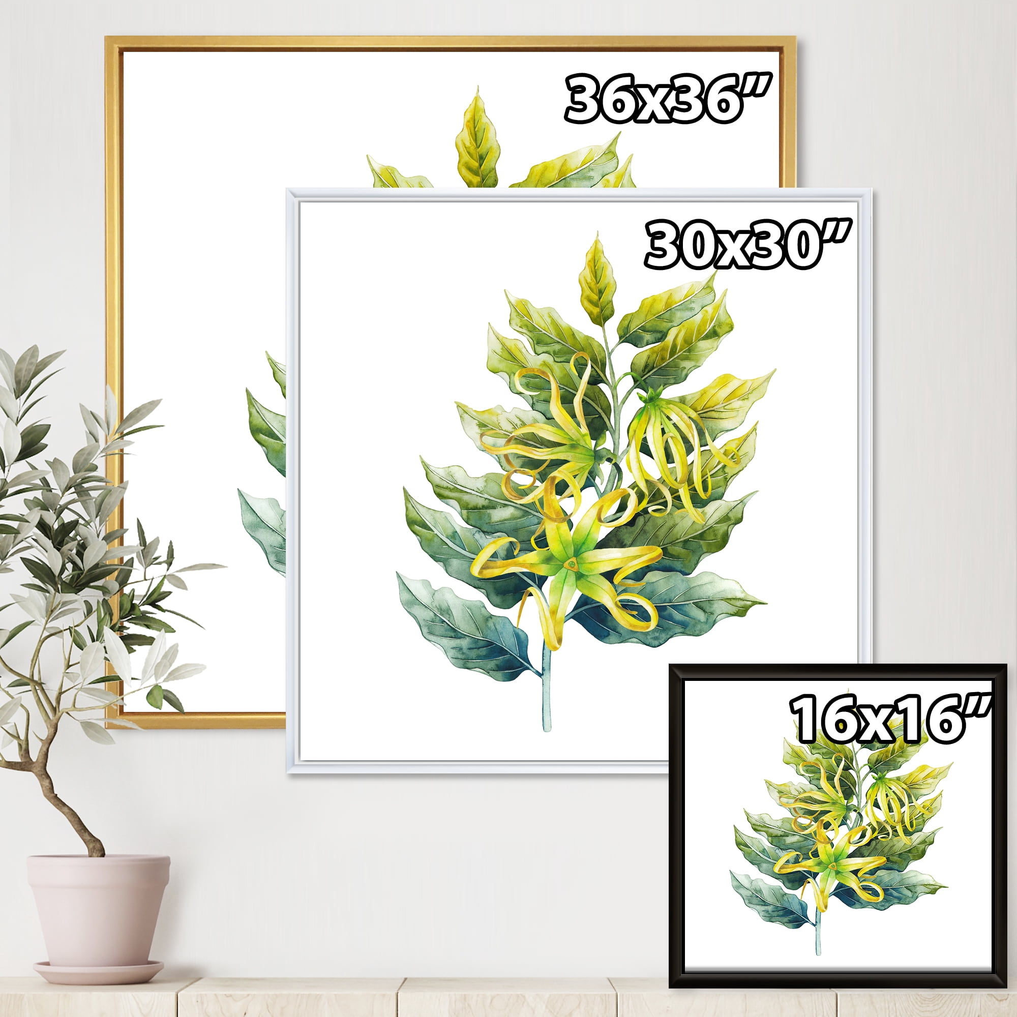 Designart 'Ylang Ylang Flower On White' Traditional Framed Canvas Wall Art Print