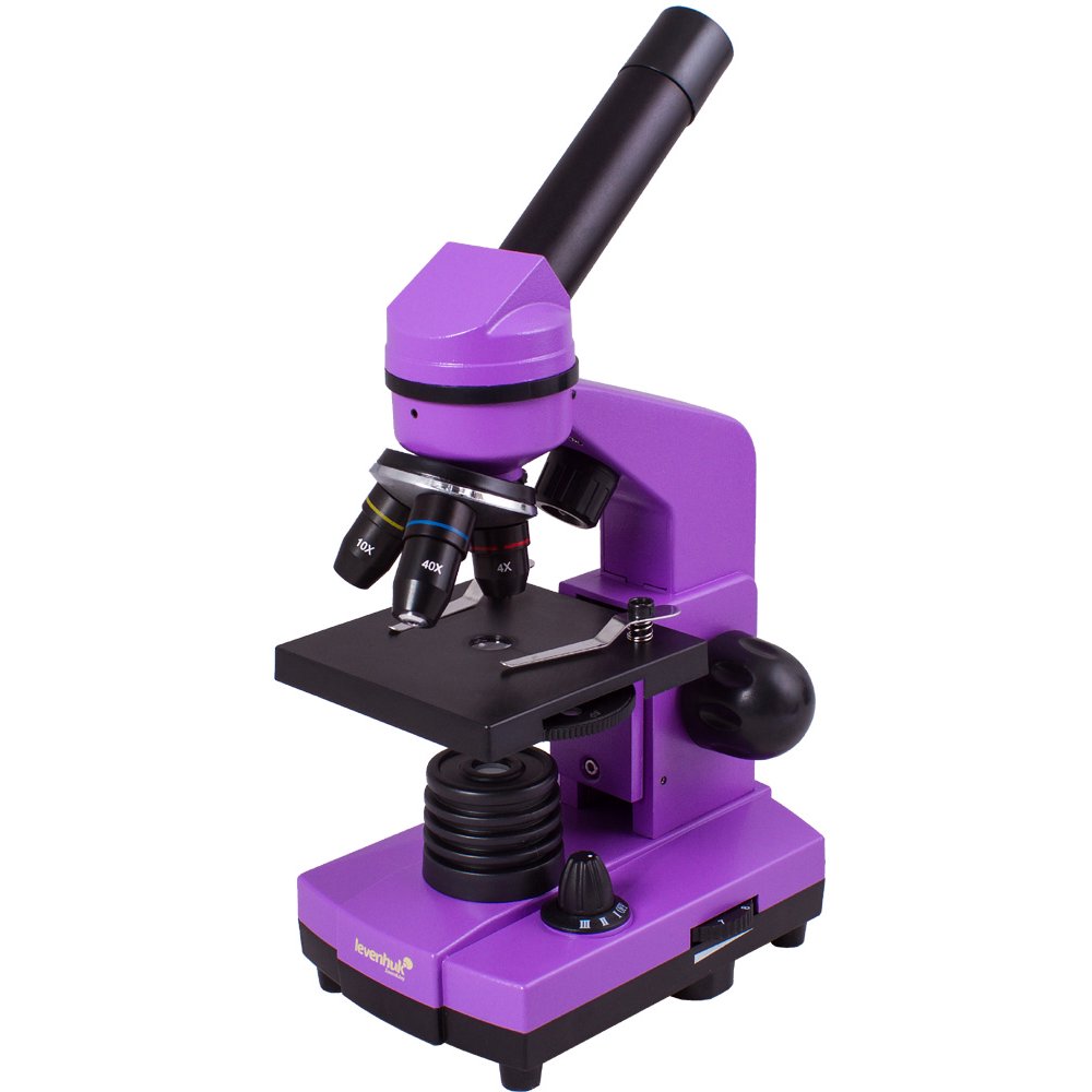 Levenhuk 2L Amethyst Microscope