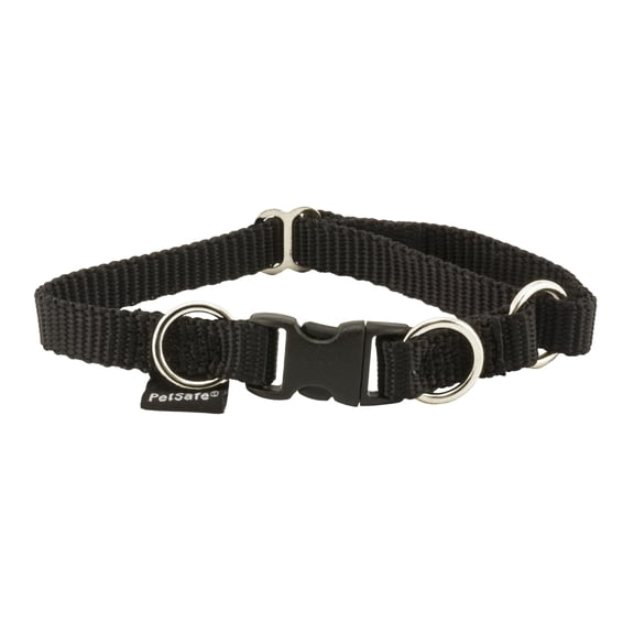 PetSafe KeepSafe Break-Away Dog Collar, Black, 3/4 in Wide, Small | Break-Away Buckle Releases Under Pressure for 24/7 Protection, Adjustable Fit, Durable Nylon, Fits Necks 10 - 14 in