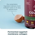 thumbnail image 5 of Ancient Nutrition Advanced Hydrolyzed Collagen Peptides Powder Protein Lean with Probiotics and Vitamin C, Cinnamon, for Women & Men, Supports Healthy Weight Management & Muscle Building, 14 Servings, 5 of 5