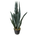 thumbnail image 5 of Northlight Real Touch™️ Artificial Two Tone Potted Snake Plant - 29", 5 of 9