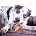 thumbnail image 2 of Downtown Pet Supply Pig Ear Strips1/4 lb Pack Natural Pig Ears for Dogs, 2 of 4