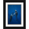 thumbnail image 1 of Gabriel, Barathieu 13x18 Black Ornate Wood Framed with Double Matting Museum Art Print Titled - Sperm whale family, 1 of 4
