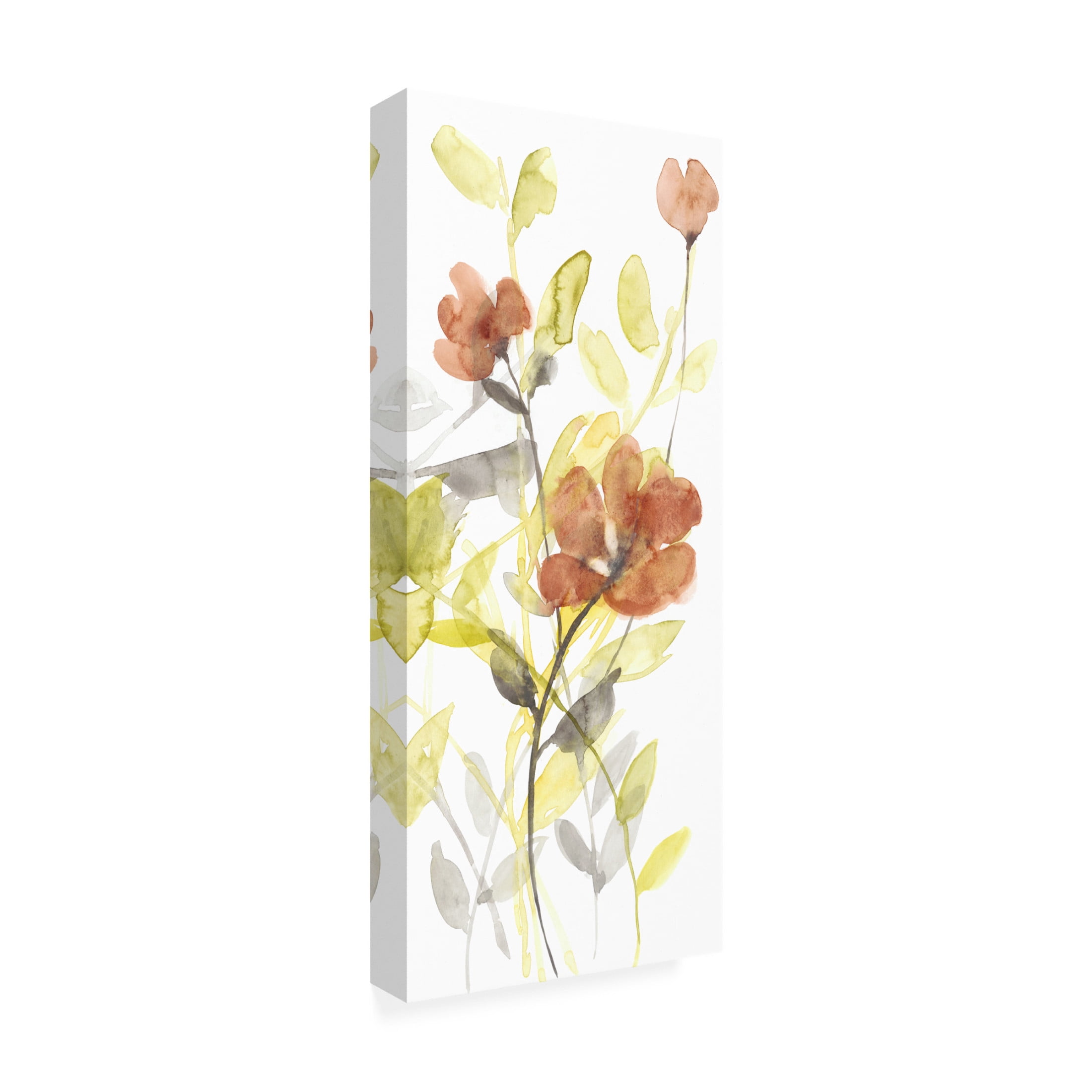 Canvas Wall Art - Jennifer Goldberger 'Flowers of the Earth II' Wall Art for Living Room, Bedroom, or Office Décor by Trademark Fine Art - 20 x 47 Inches