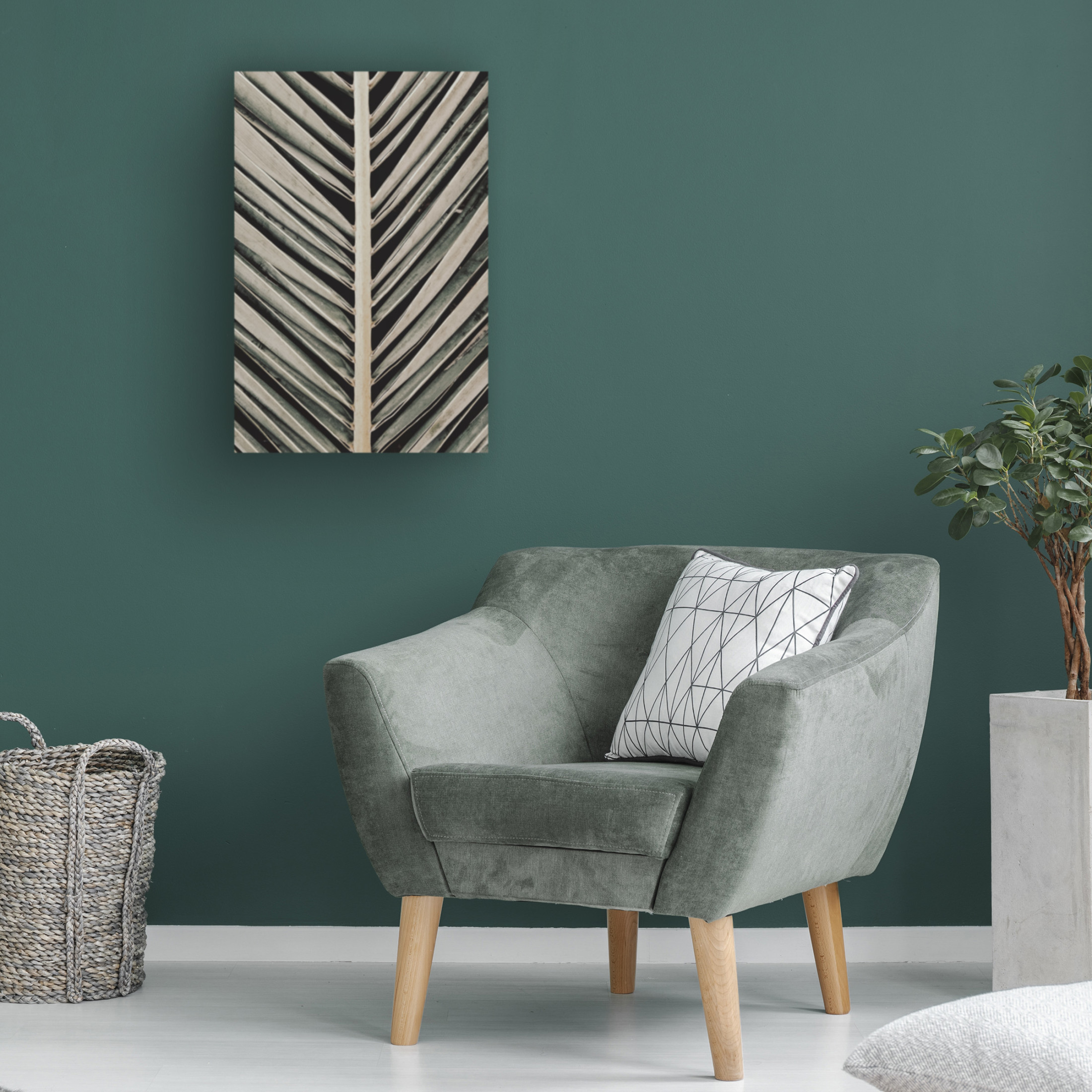 Trademark Fine Art Pictufy Studio Palmblad Canvas Wall Art