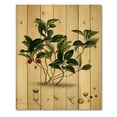 thumbnail image 3 of Designart 'Ancient Plant Life III' Traditional Print on Natural Pine Wood, 3 of 5