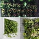 thumbnail image 4 of Apuakthei Gosear Wand Montiert H?ngende Vertikal Bepflanzung Taschen Grün Wachsen Pflanzer mit 36 Taschen für Haus Wand Balkon Garten Versorgung Schwarz, 4 of 7