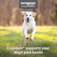 thumbnail image 3 of Nutramax Cosequin for Dogs Joint Health Supplement, Contains Glucosamine for Dogs, Plus Chondroitin, MSM and Omega-3s, Joint and Skin and Coat Health, For All Breeds and Sizes, Soft Chews, 60 Ct., 3 of 9