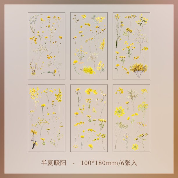 6 Unidades De Pegatinas De La Serie Nature Para Decoración De Álbumes De Recortes