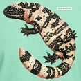 thumbnail image 3 of CafePress - Gila Monster Lizard Dark T Shirt - Men's Classic Graphic Cotton T-Shirt, 3 of 4