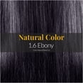 thumbnail image 3 of Hair Solution Gold 90 grams / 3.17 oz Hair Dye Ebony 1.6 Color - Hair Dye Permanent + Peroxide Cream Vol 20 + Hair Care Gloves, 3 of 8