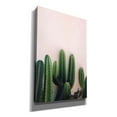 thumbnail image 2 of Epic Graffiti 'Cactus on Pink' by Incado, Giclee Canvas Wall Art, 12"x18", 2 of 8