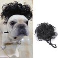 thumbnail image 4 of Afro-hair Wig For Cats & Small Dogs Funny Pet Costumes For Halloween Christmas, 4 of 5