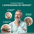 thumbnail image 4 of Neuriva Memory 3D Brain Supplements for Memory and Focus, Vitamin B12 & B6, Folic Acid, 50 Count Capsules, 4 of 12