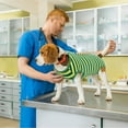 thumbnail image 6 of Kuoser Surgical Recovery Suit for Dogs Cats，Professional Dog Onesie, 6 of 7